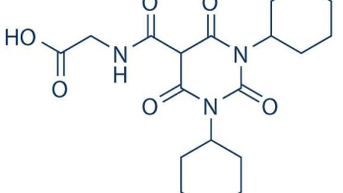 医生与肾性贫血患者讨论HIF-PHI药物选择
